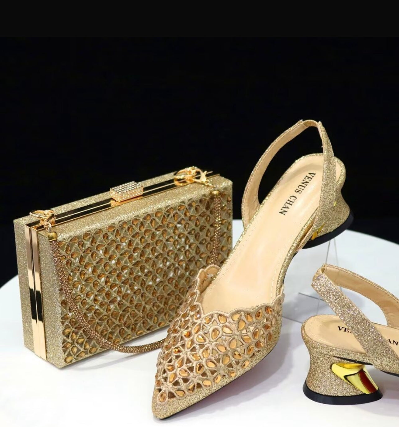 Venus Chan Shoe and Bag Set