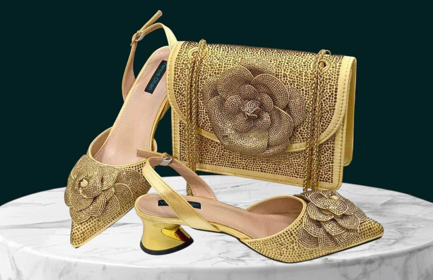 Venus Chan Luxury Shoe and Bag Set