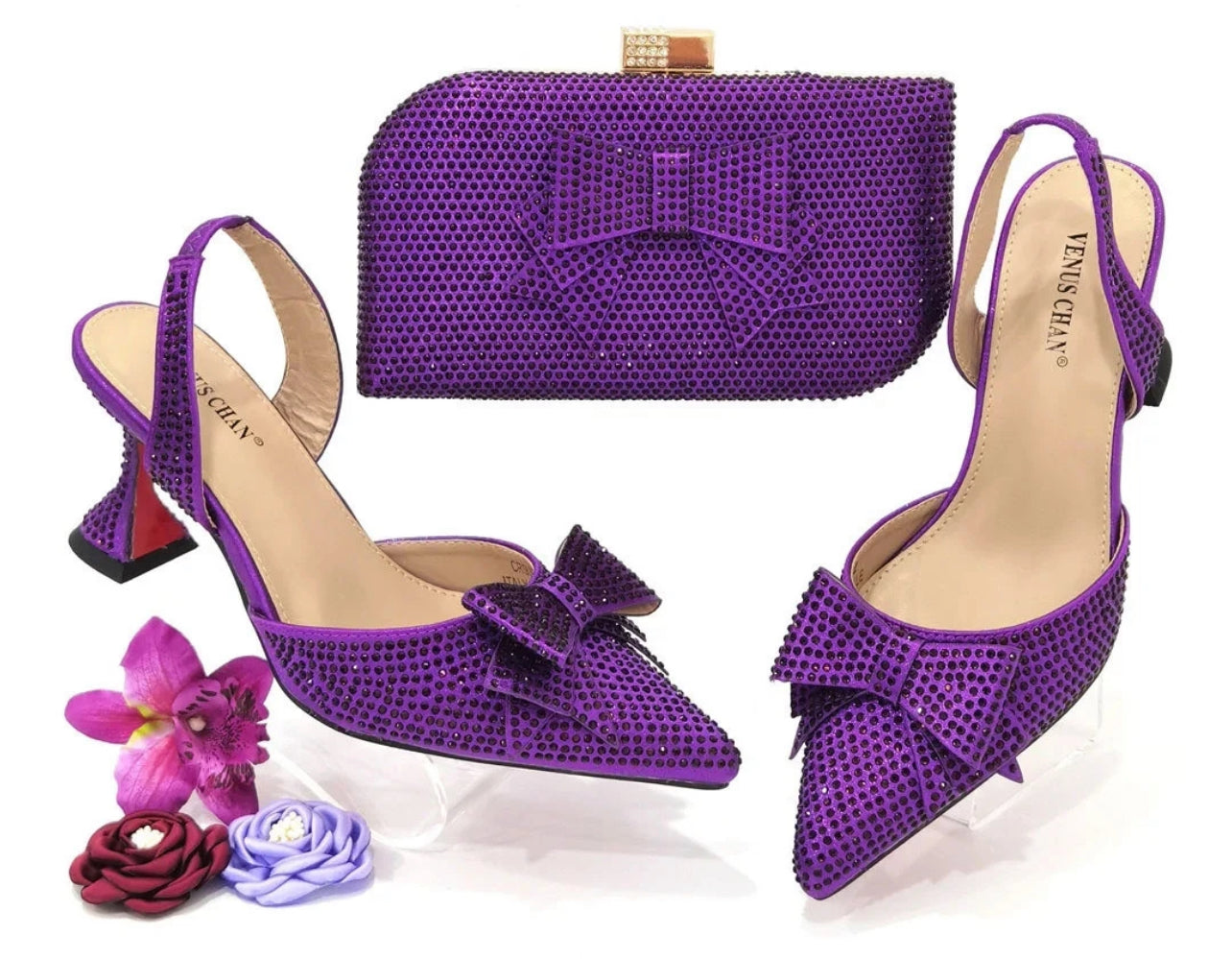 Venus Chan Fashion Shoe and Bag Set