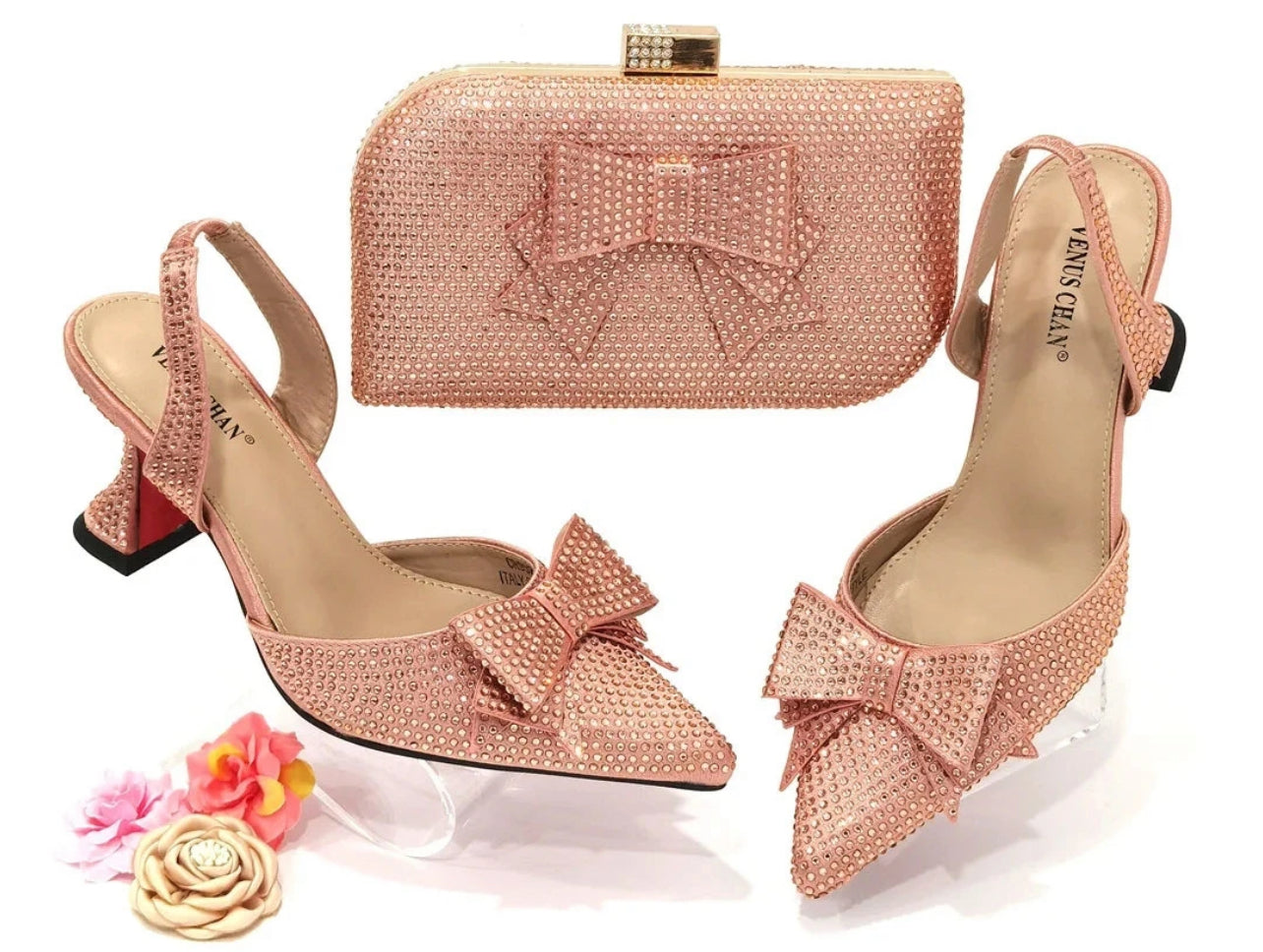 Venus Chan Fashion Shoe and Bag Set