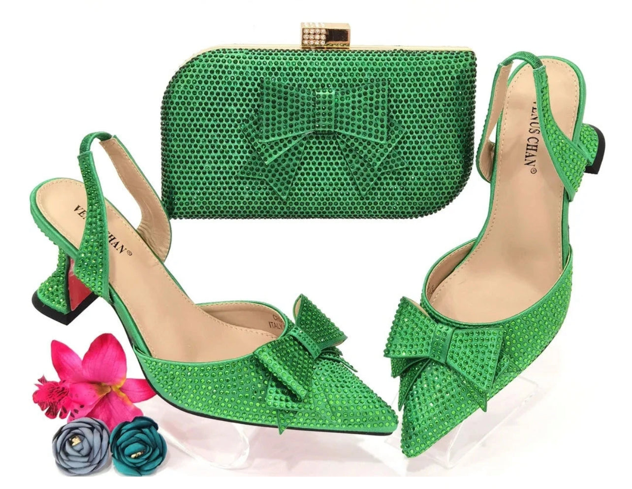 Venus Chan Fashion Shoe and Bag Set