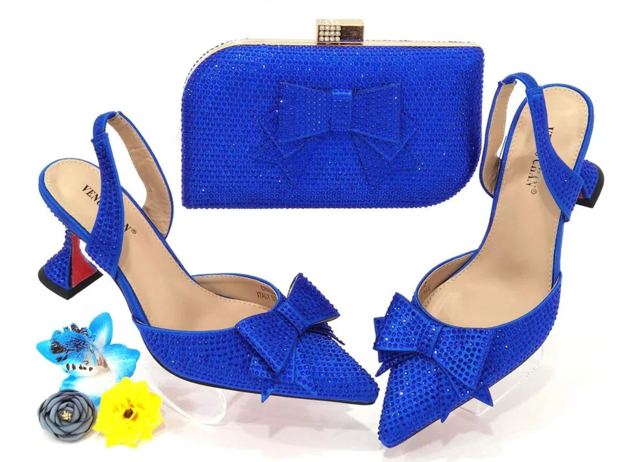 Venus Chan Fashion Shoe and Bag Set