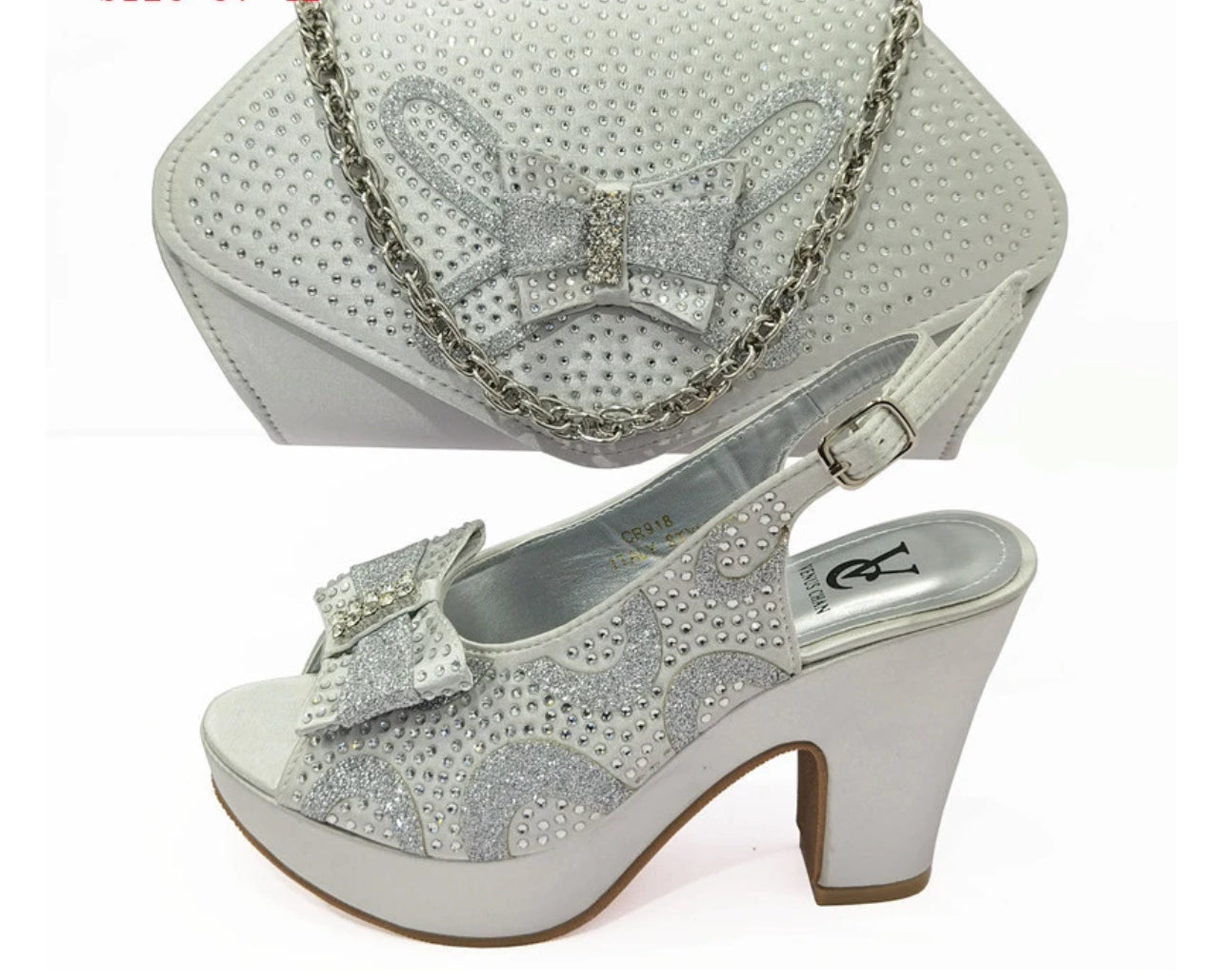 Venus Chan Fashion Shoe and Bag Set