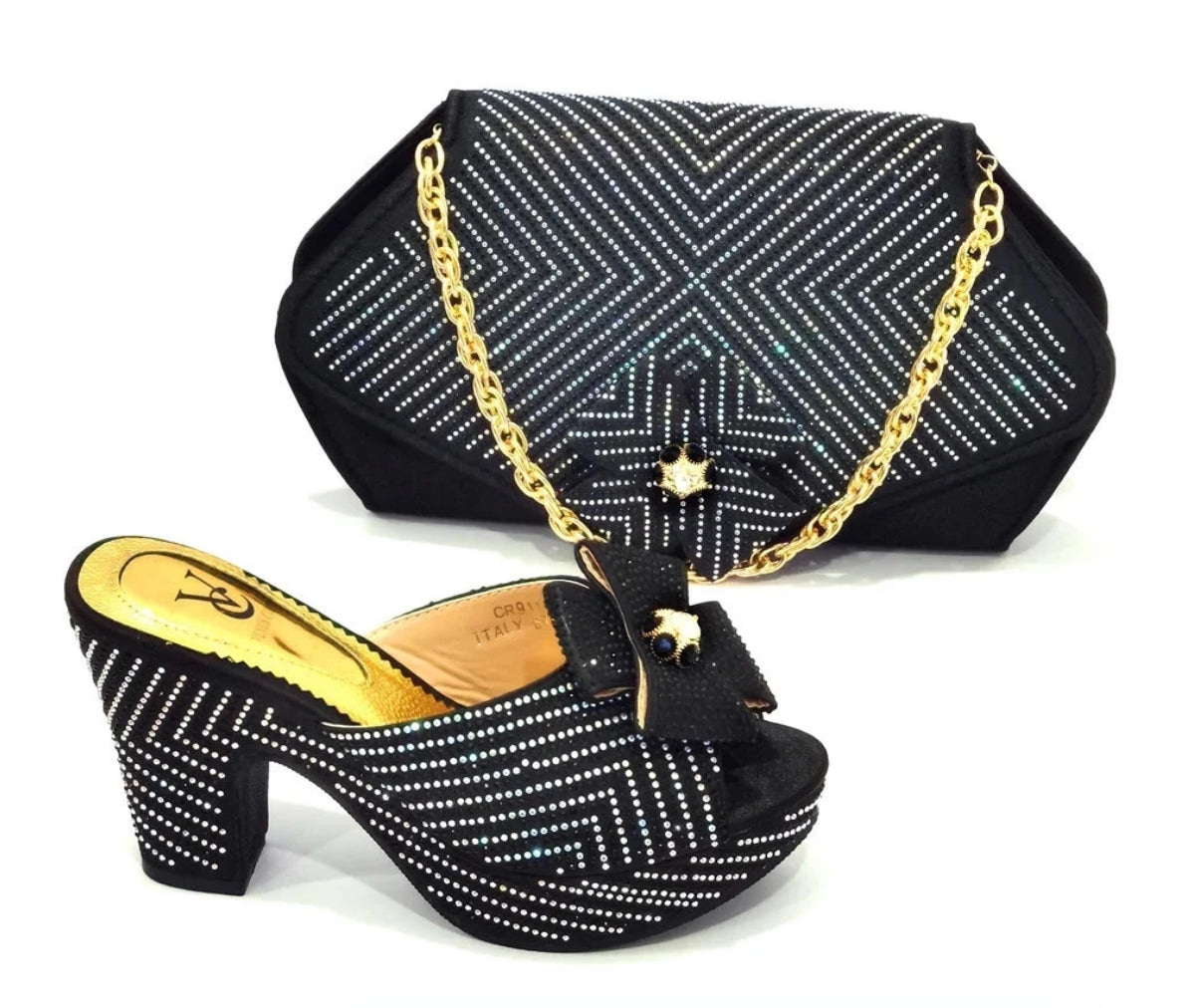 Venus Chan Fashion Shoe and Bag Set