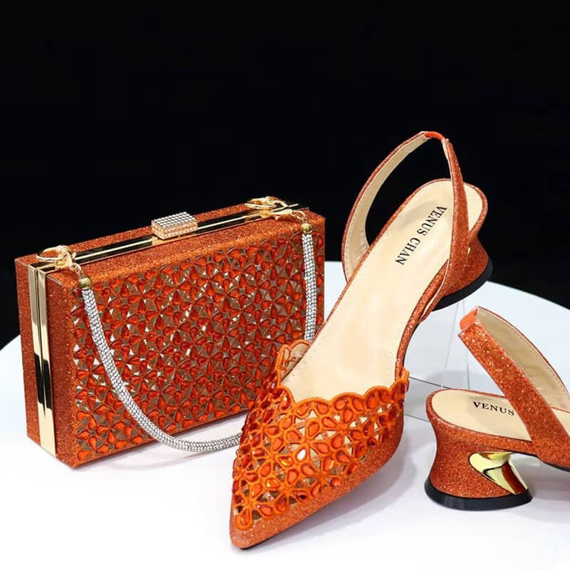 Special Occassion Shoe and Bag Set