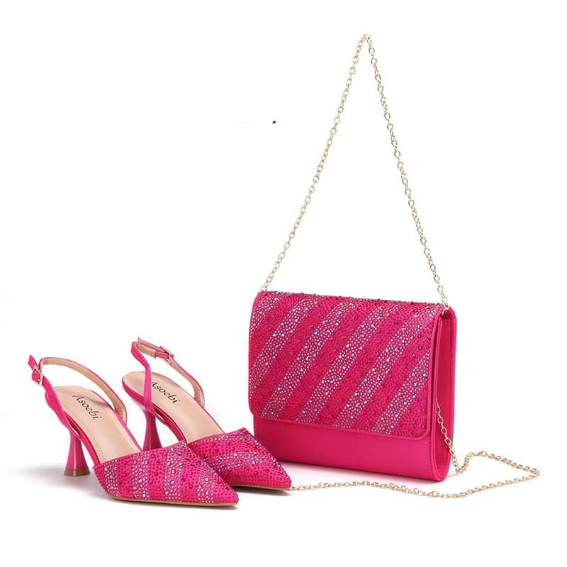 Asoebi High Quality Shoes and Bag Set