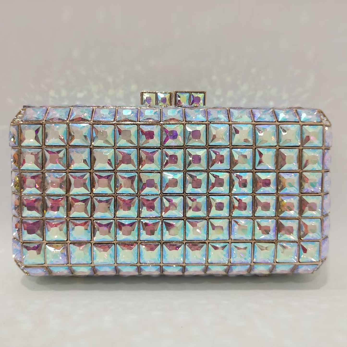 Fashion Clutch Purse