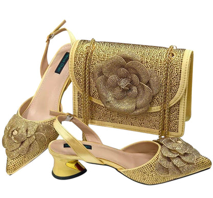 Venus Chan Luxury Shoe and Bag Set