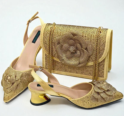 Venus Chan Luxury Shoe and Bag Set