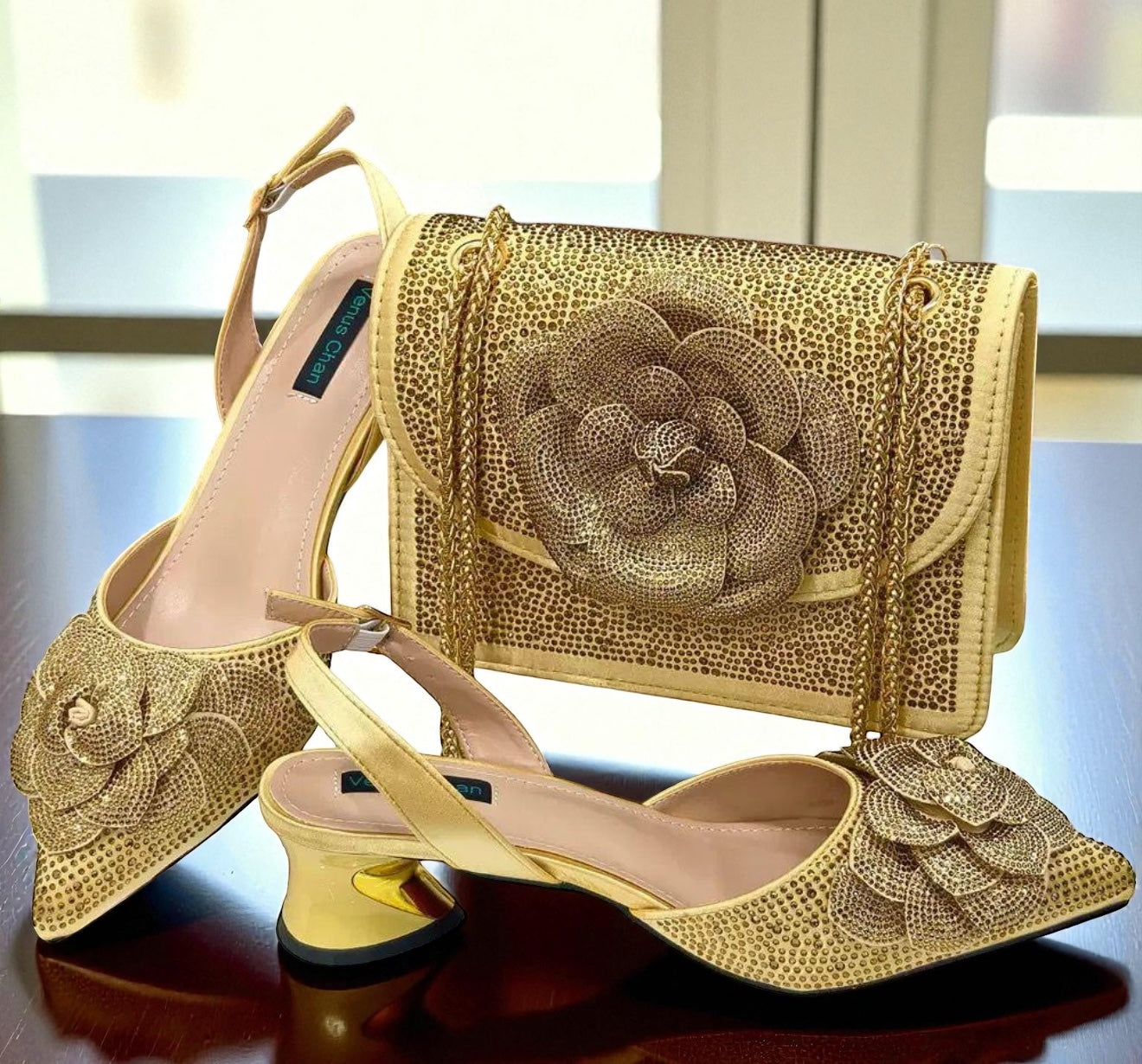 Venus Chan Luxury Shoe and Bag Set